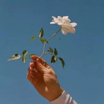 碰碰竞技场官方版下载